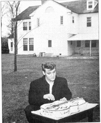 ADMIRING a guitar shaped birthday cake at Graceland ELVIS PRESLEY I n - photo 3