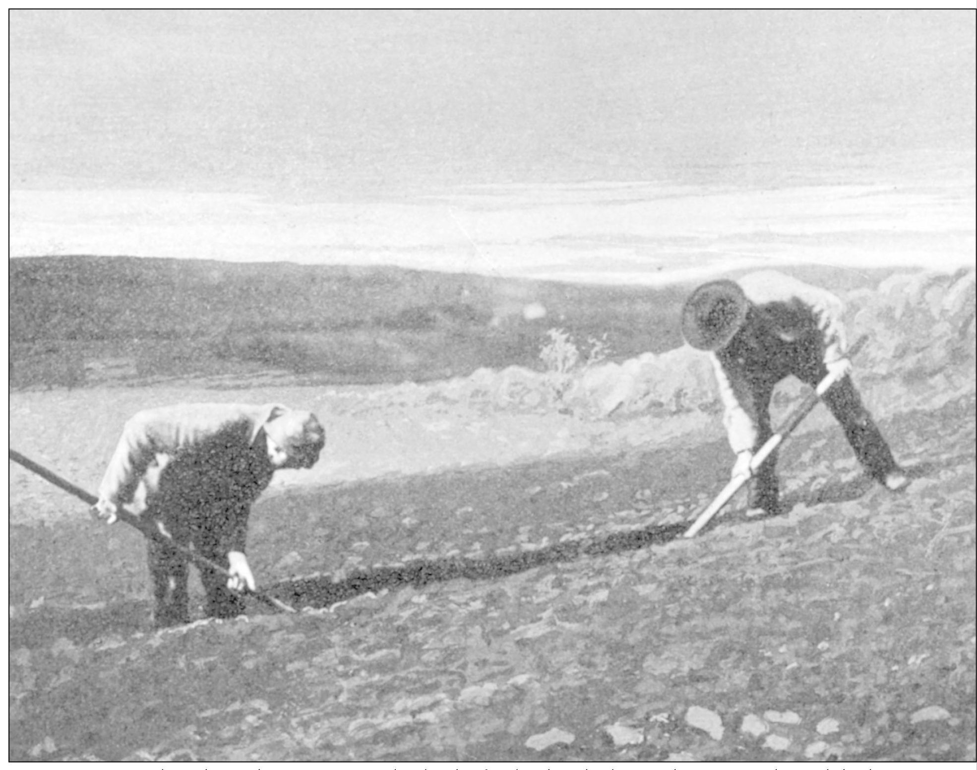 Two workers dig in the stone-strewn boglands of Ireland in the late 19th - photo 5