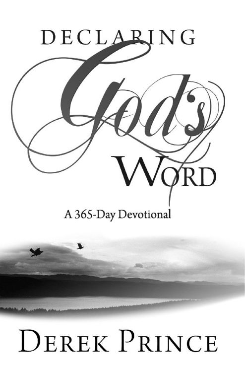 Declaring Gods word a 365-day devotional - image 1