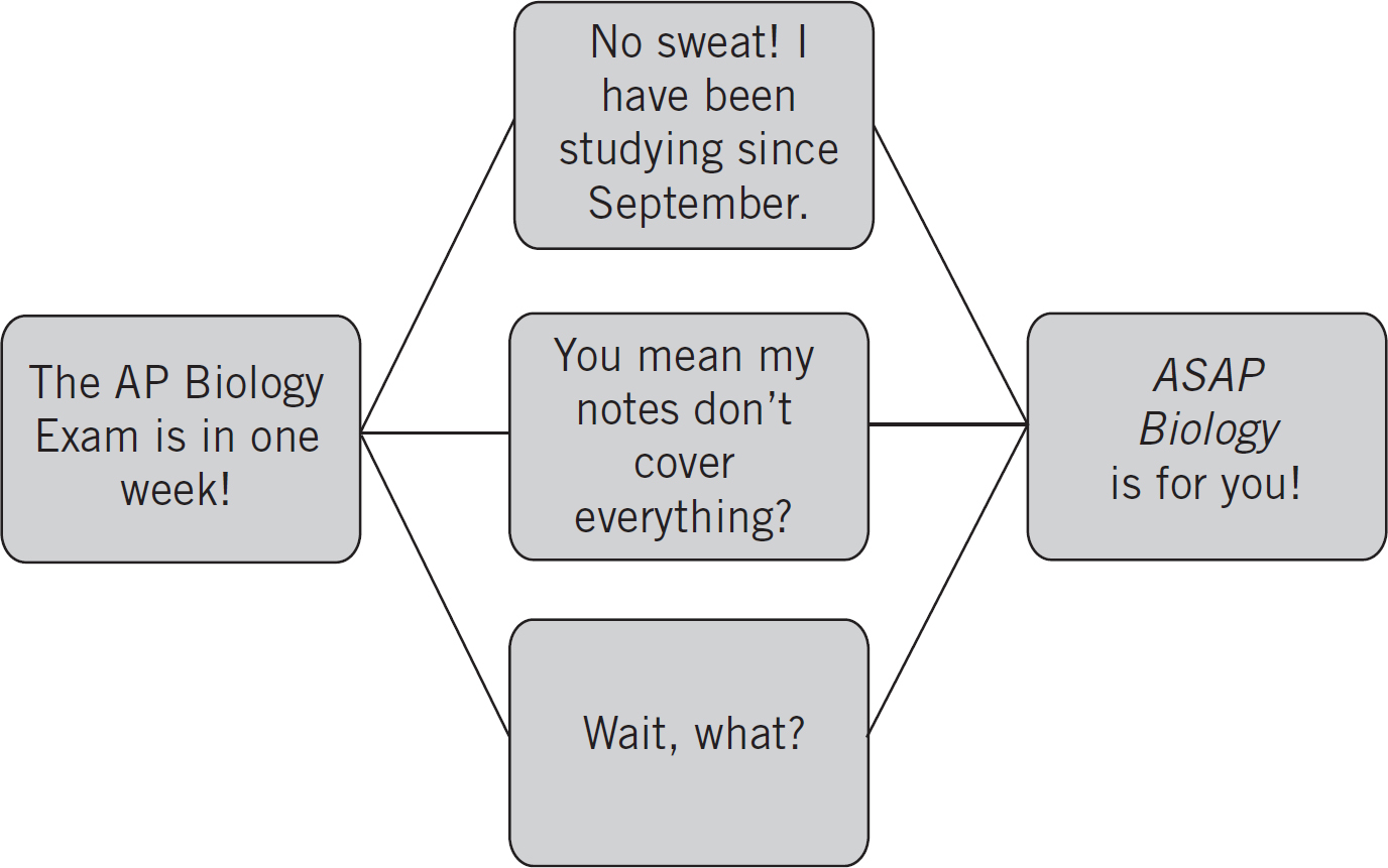 As you can see this book is meant for every kind of student Our quick lessons - photo 7