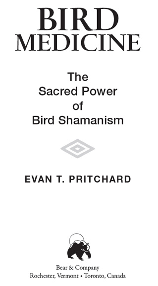 Bird medicine the sacred power of bird shamanism - image 1