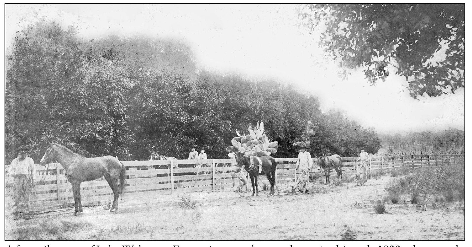 A few miles west of Lake Wales was Enterprise a settlement shown in this early - photo 5