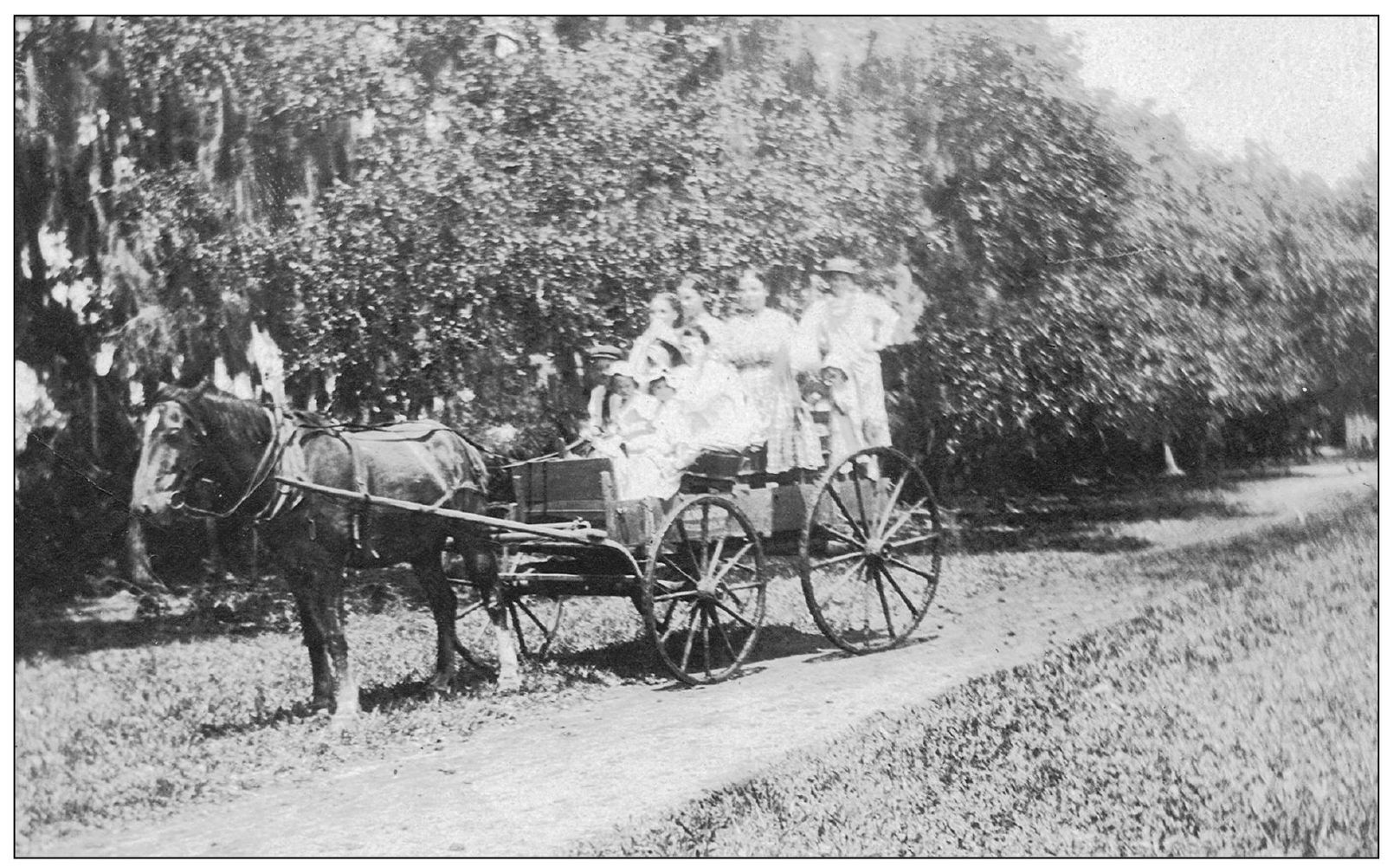 Elbert Emma and Mae Wood are seated in the front seat of this carriage near - photo 8