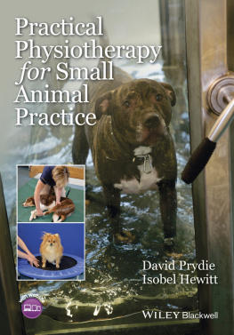 Prydie David - Practical Physiotherapy for Small Animal Practice