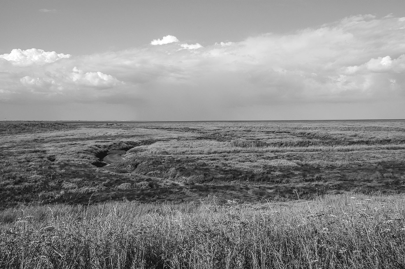 A view from the Wash sea bank at Lawyers Creek near Holbeach St Matthew - photo 2