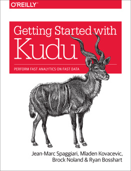Spaggiari - Getting started with Kudu: perform fast analytics on fast data