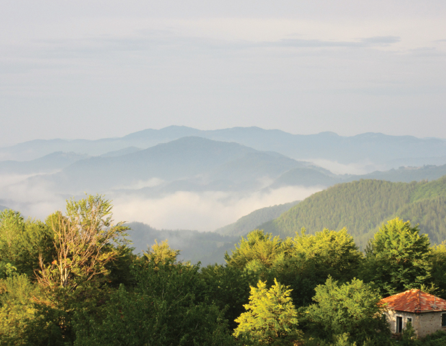 Our cottage in Bulgaria altitude 1200 metres A local beekeeper on a - photo 11