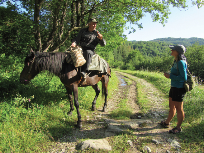 A local beekeeper on a horse explains that his hives have been destroyed by a - photo 12