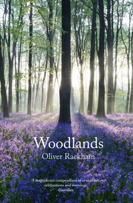 Rackham Woodlands