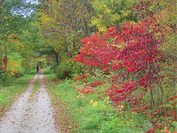 Vermonts in Sheldon Foreword F or those of you who have already experienced - photo 6