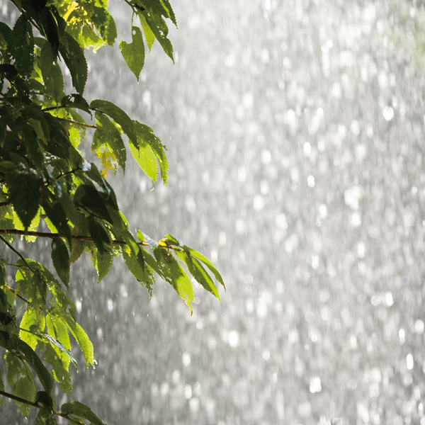 1500th second Even with such a fast shutter speed the water drops are still - photo 6