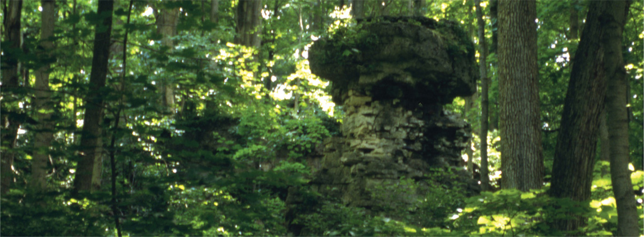 POMPEYS PILLAR GLEN HELEN NATURE PRESERVE CONTENTS H iking has been an - photo 7