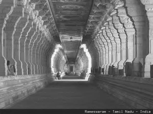 The Thousand Pillared hall at the Rameswaram Shiva templea unique architectural - photo 7