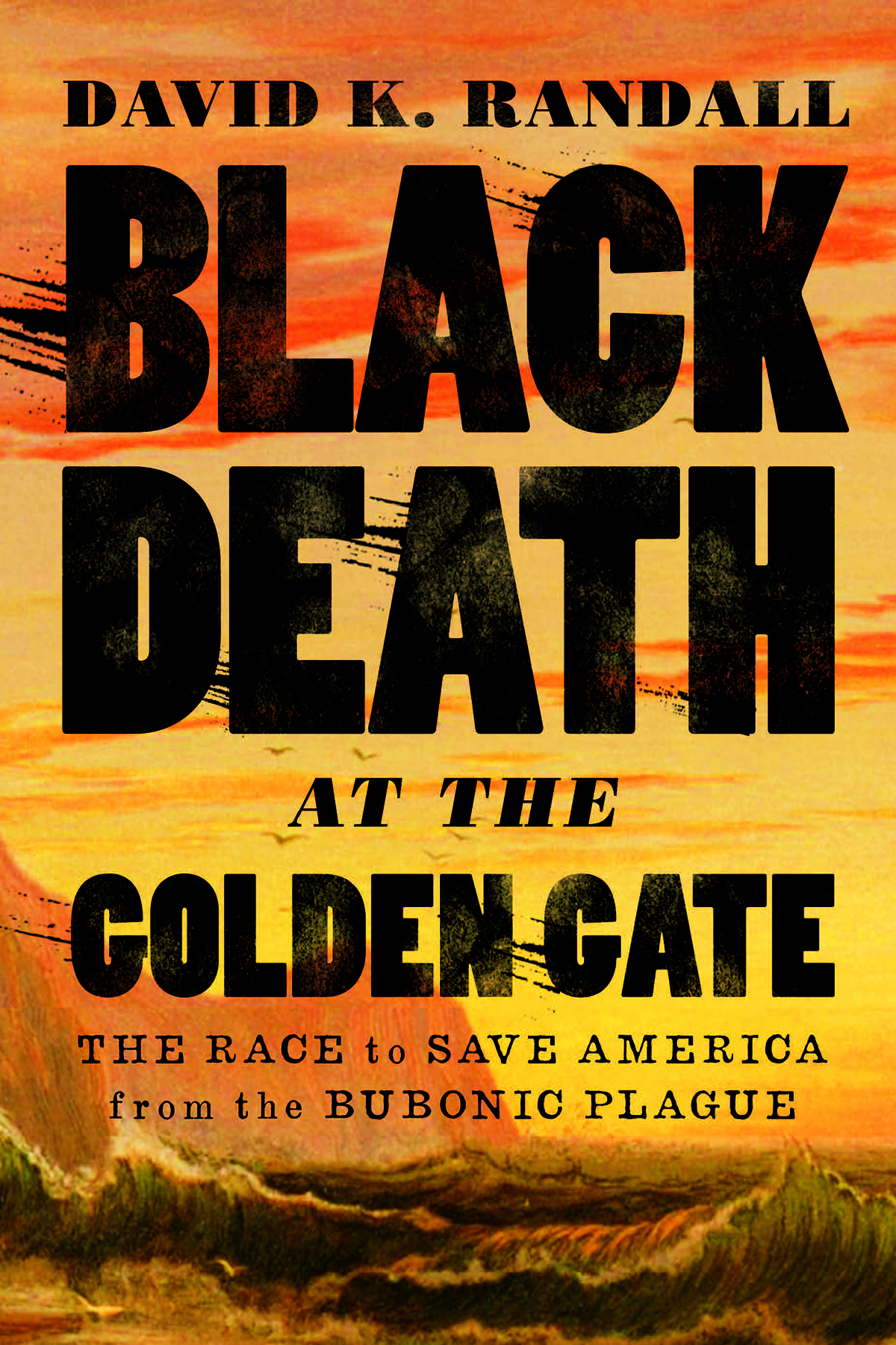 BLACK DEATH AT THE GOLDEN GATE BLACK DEATH AT THE GOLDEN GATE THE RACE TO SAVE - photo 1