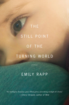 Rapp - The still point of the turning world: a mothers story