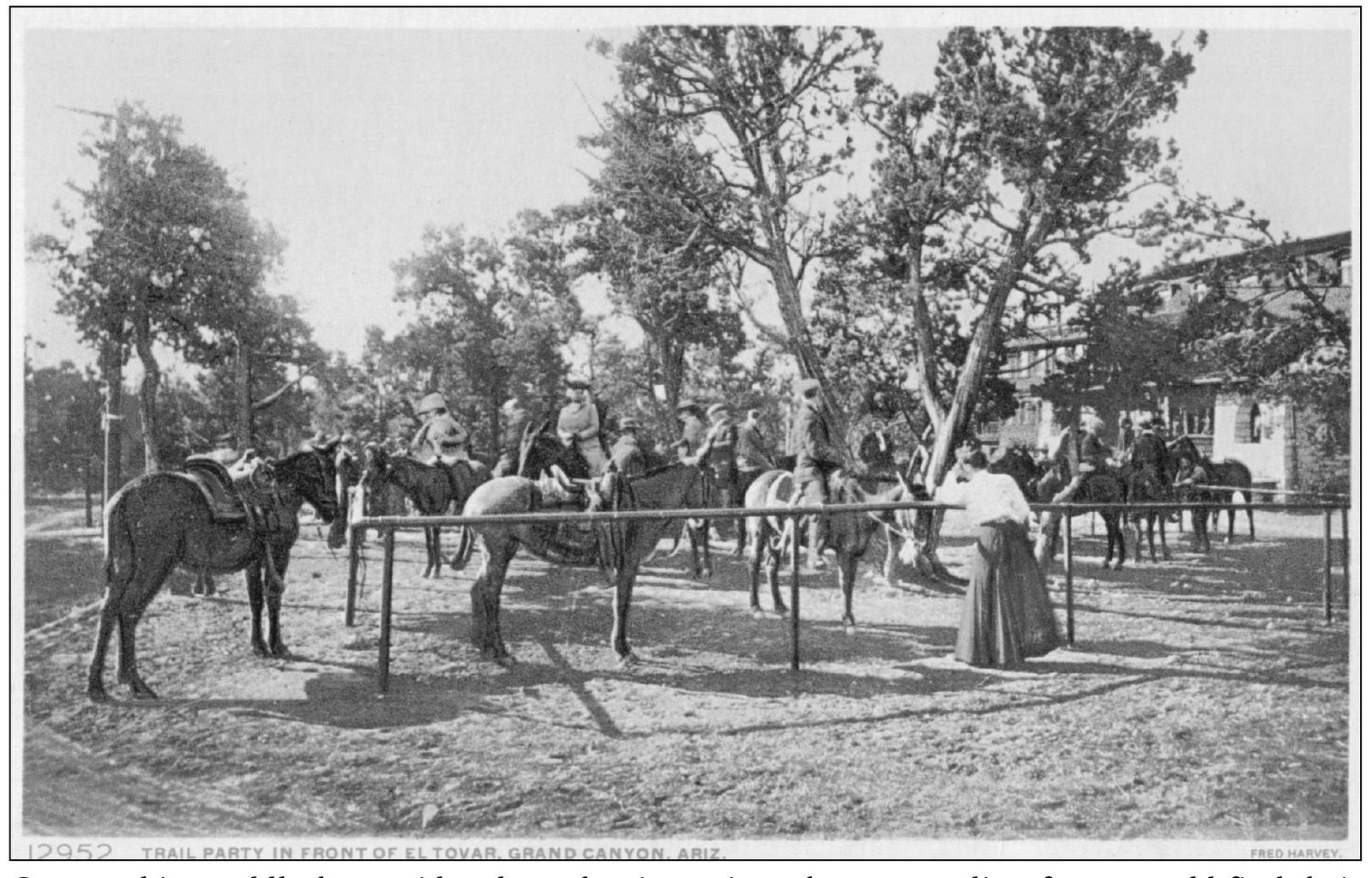 Guests taking saddle-horse rides along the rim or into the surrounding forest - photo 9