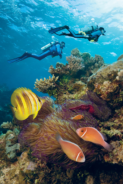 Exploring the Great Barrier Reef JEFF HUNTER GETTY IMAGES Why We Love - photo 5