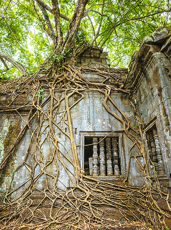 JASON LANGLEYGETTY IMAGES Siem Reap the Temples of Angkor Top Sights The - photo 10