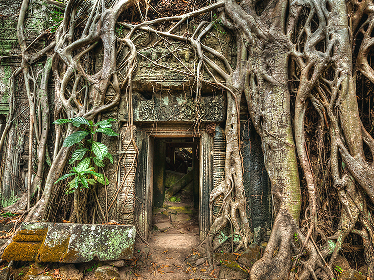 DMITRY RUKHLENKOSHUTTERSTOCK Siem Reap the Temples of Angkor Top Sights - photo 8