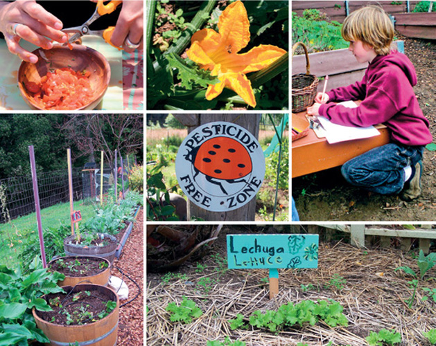 CONTENTS Eager students line up for garden time Photo by Brooke Hieserich - photo 2