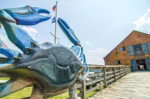 the Outer Banks town of Washington boats on Cape Fear The hypnotic rhythm - photo 9