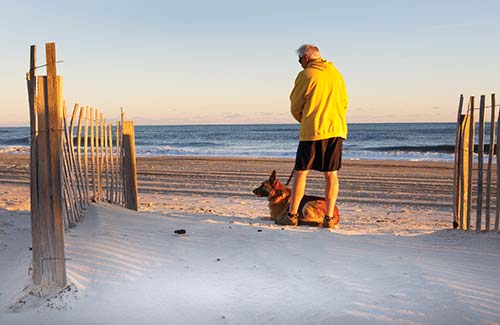 early morning on Cape Hatteras National Seashore picturesque Edenton - photo 11