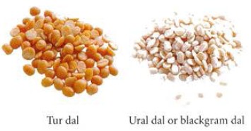 Dal refers to a wide variety of split peas and pulses Channa dal or Bengal - photo 7