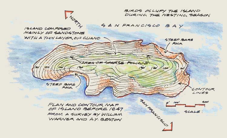 Above Image Birds occupy the island during the nesting season Outer circle - photo 3