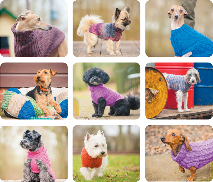 Dogs in jumpers 15 practical knitting projects - image 3