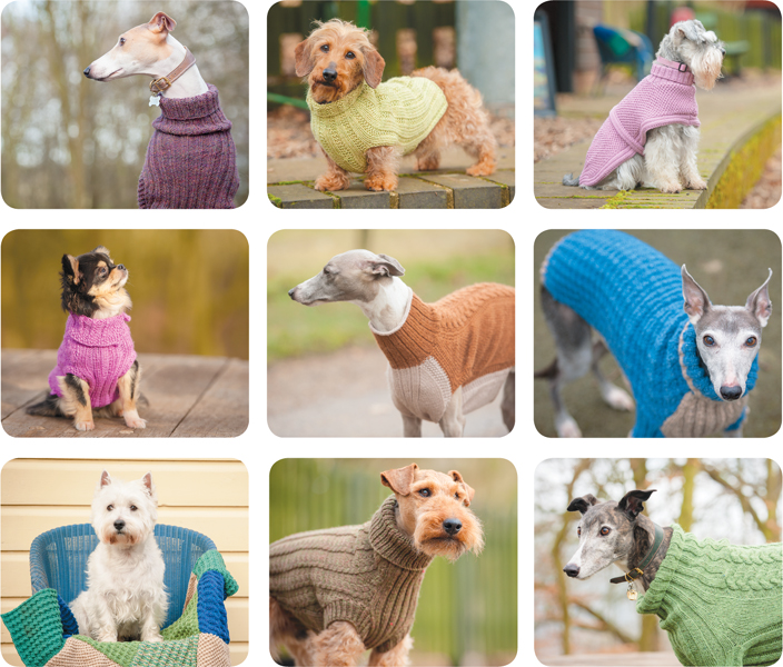 Dogs in jumpers 15 practical knitting projects - image 4