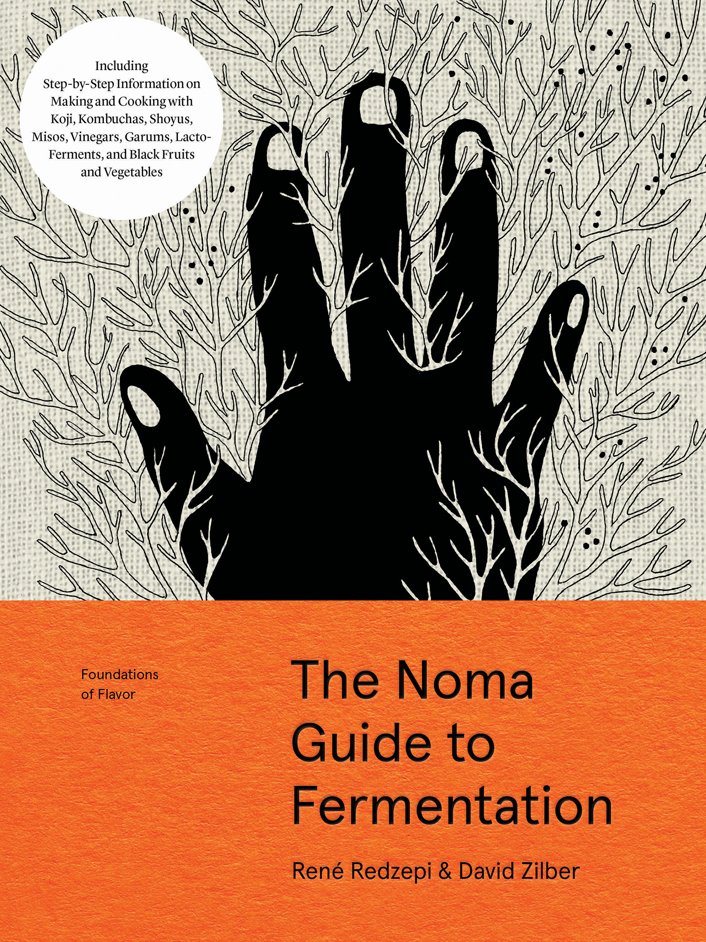 The Noma guide to fermentation foundations of flavor - image 1