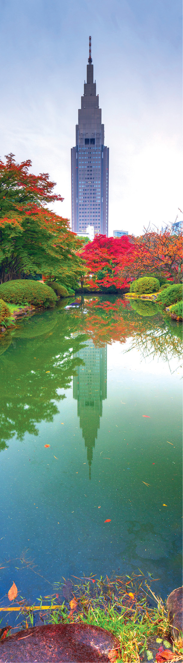 Autumn in Shinjuku Park in Tokyo A Look at Tokyo Kyoto Western Honshu J - photo 6