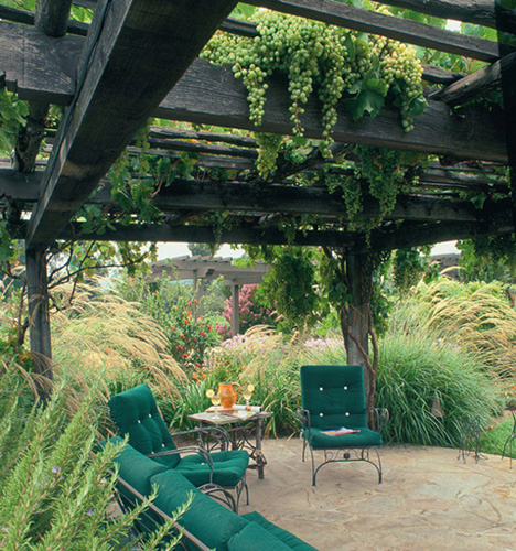 Grapes that are trained over an arbor provide dappled shade for an outdoor - photo 3