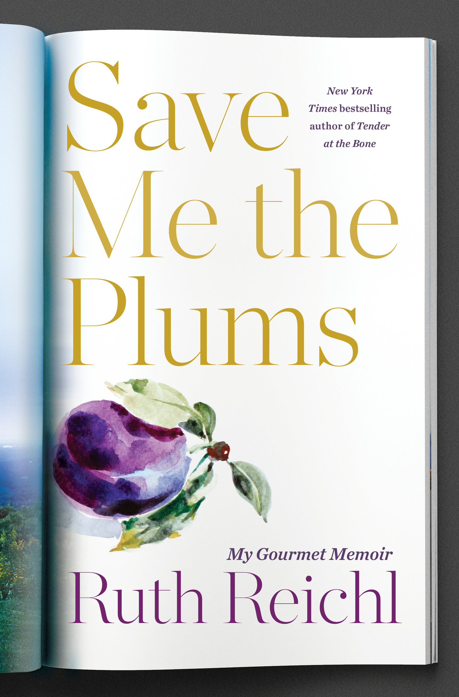 Save Me the Plums is a work of nonfiction Some names and identifying details - photo 1