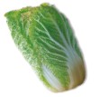 Chinese cabbage also known as Napa cabbage has white stems that end in - photo 10