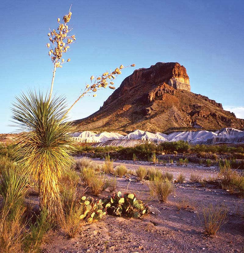 Big Bend National Park Everything about Big Bend is vastthe sky the views - photo 16