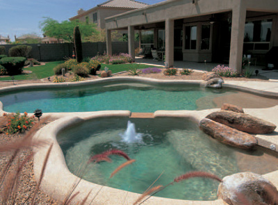 Types of Pools Spas Beyond the basics of defining the differences between an - photo 6