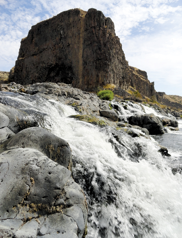 Palouse River careening through a basalt canyon Blue Mountains forest - photo 8