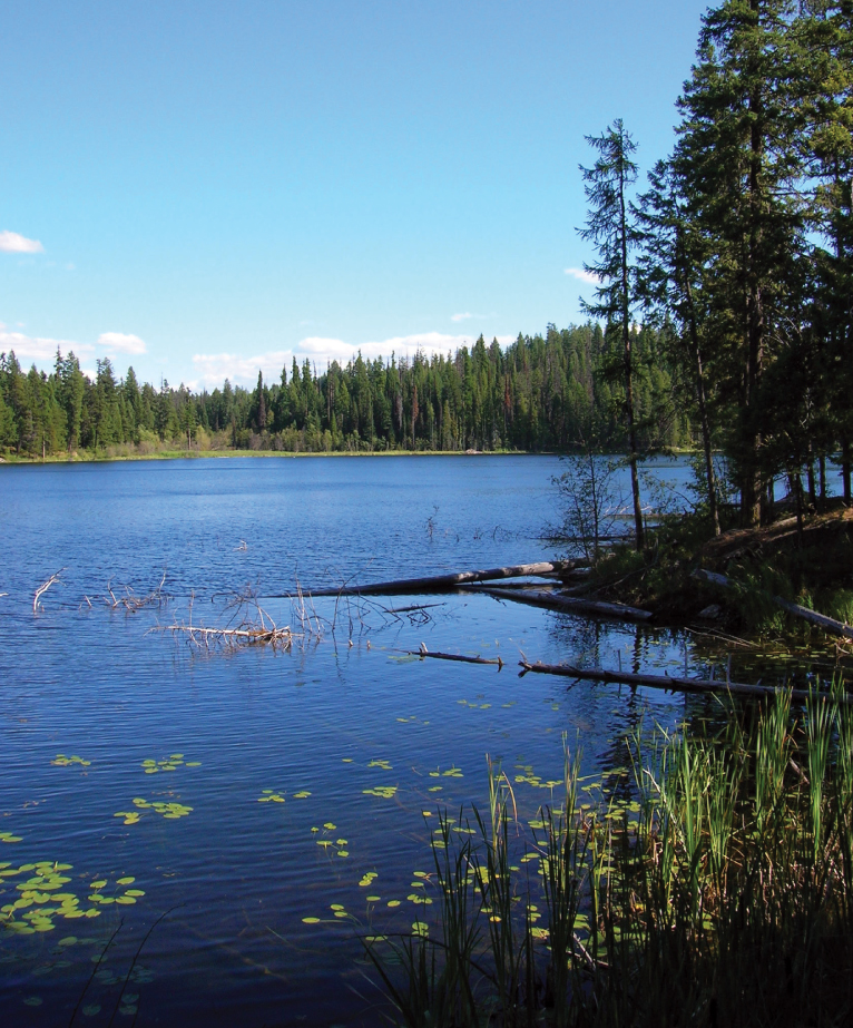 Placid Swan Lake in the Okanogan Highlands Looking toward the Pend - photo 3