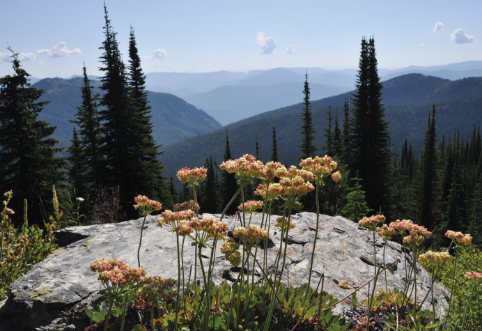 Looking toward the Pend Oreille River valley from Sherlock Peak ridge - photo 4