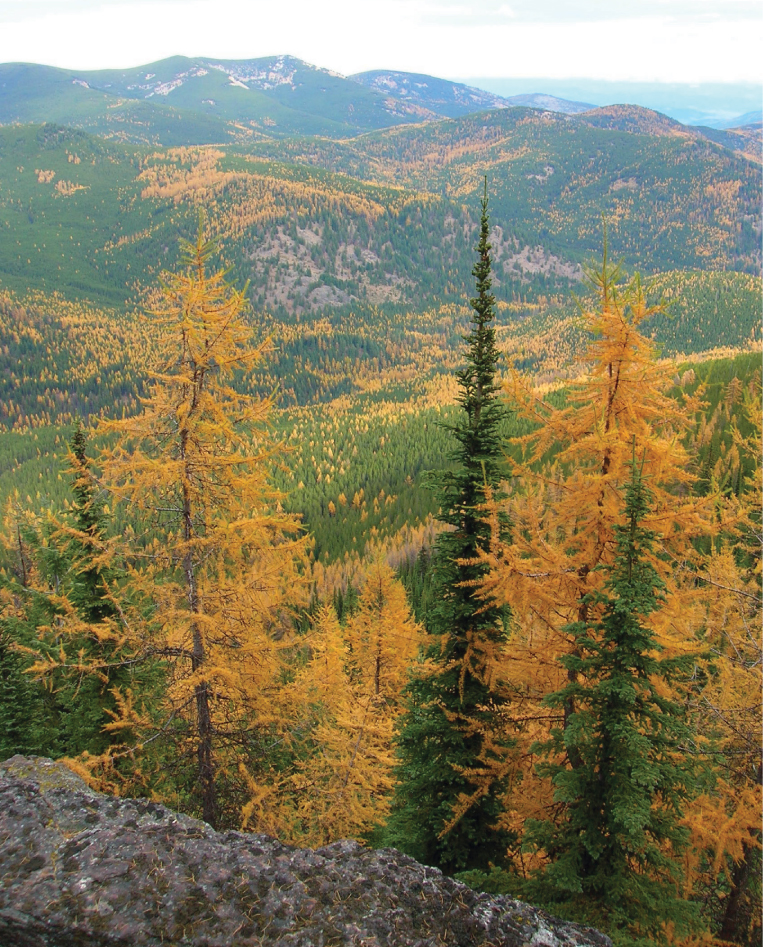 Theres gold in them thar hills in October in the Kettles DAY HIKING - photo 11