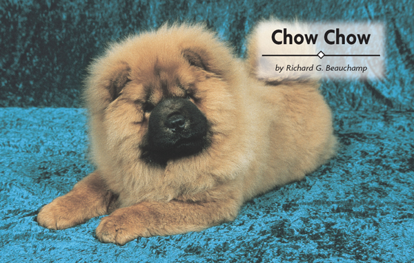 Contents Learn about the mysticism surrounding the Chows origins including - photo 2