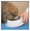 Cover the specifics of taking care of your Chow Chow every day feeding for the - photo 7