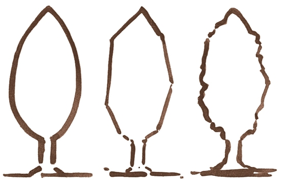 The evolution of elliptical shapes gradating to natural tree formation is shown - photo 12