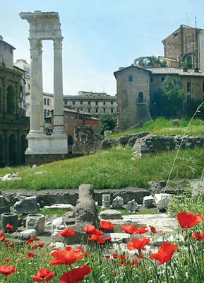 Roman Forum Dining near the Pantheon Rick Steves ROME 2016 - photo 15