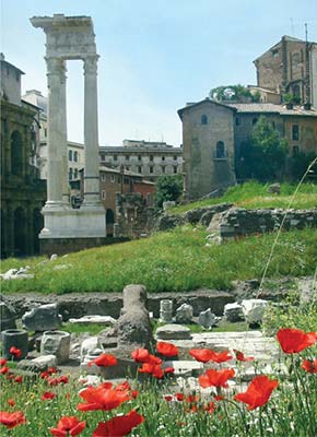 Roman Forum Dining near the Pantheon Rick Steves ROME 2017 - photo 15