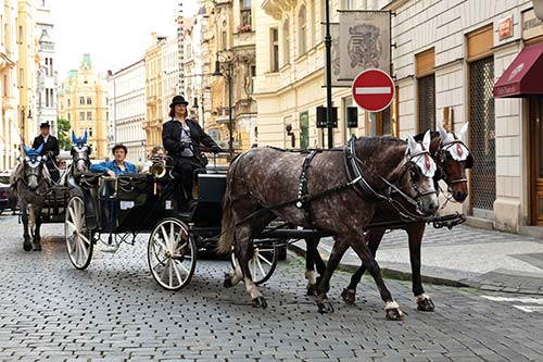 Carriages and walkers rule the roads The rest of the book is a travelers tool - photo 8