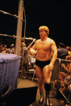 Bob Backlund Terry Funk and Dusty Rhodes HOWARD BAUM Greg - photo 7