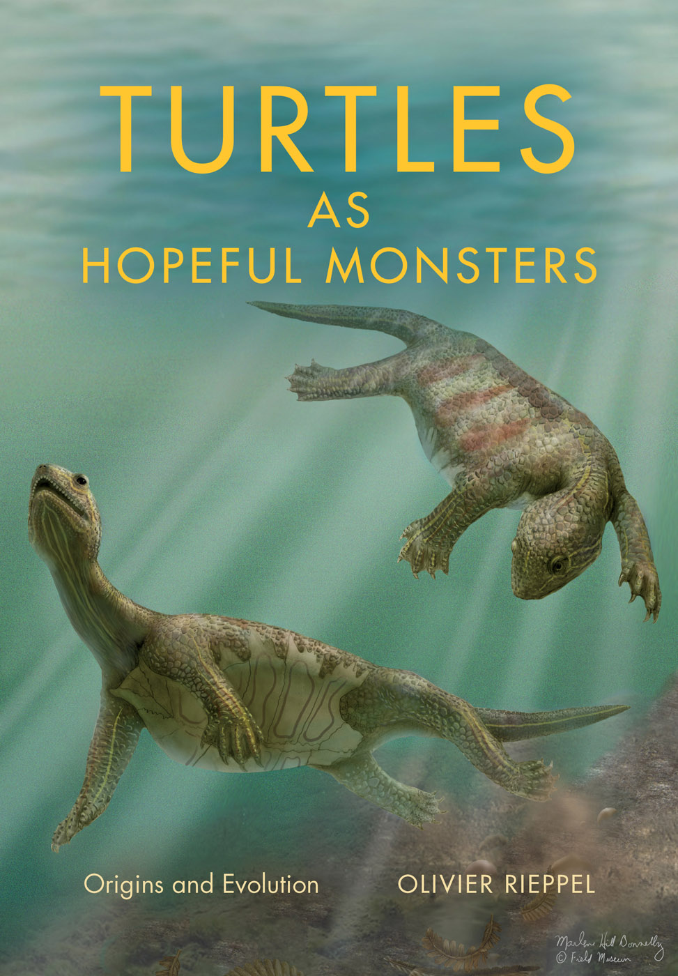 Turtles as Hopeful Monsters Life of the Past James O Farlow editor - photo 1