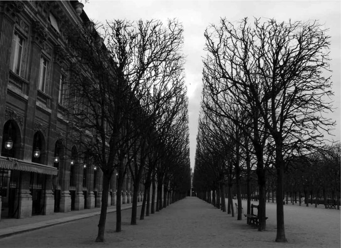 1 The gardens of the Palais Royal Rainer Maria Rilke arrived in Paris for the - photo 1